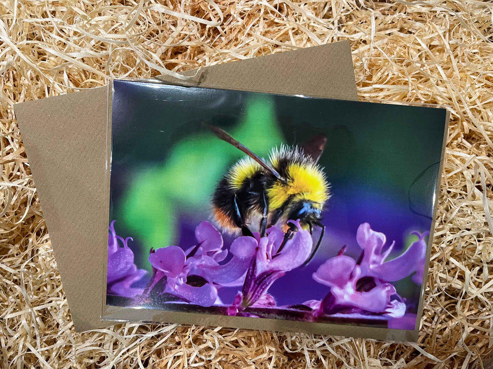 Bee Friendly Greeting Card