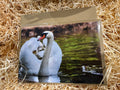 Card with a swan design on a bed of straw