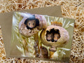 Can you See Us !!, Greeting Card
