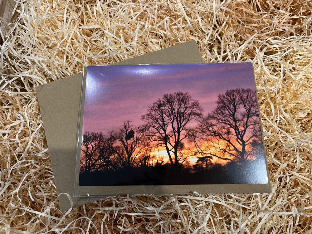 Sunset in the New Forest, Greeting Card