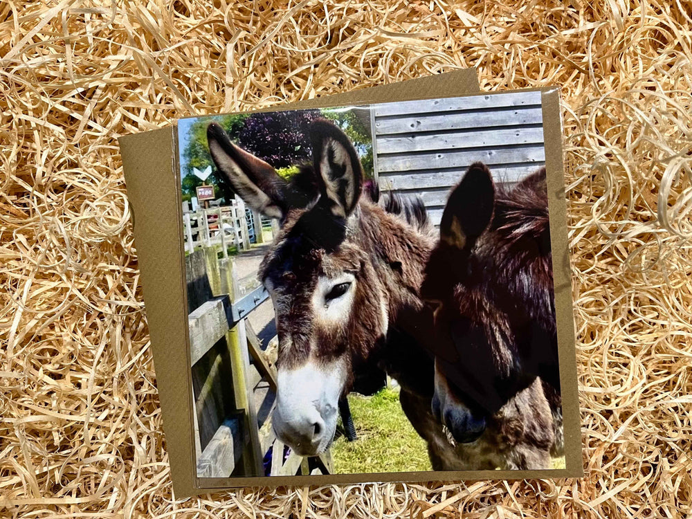 Charming Donkey Sanctuary Greeting Card for Every Occasion - The Courtyard Marketplace
