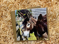 The Donkey Sanctuary