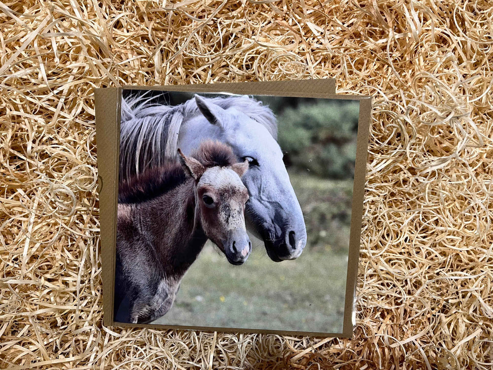 Ponies in the New Forest Greeting Card - The Courtyard Marketplace