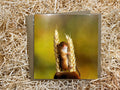 Harvest Mice Greeting Card