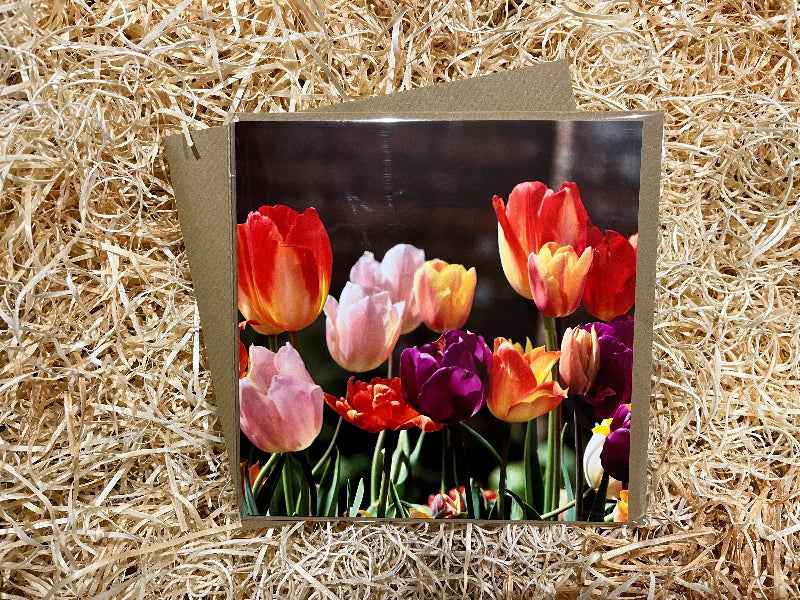 Spring Tulips Greeting Card - Brighten Your Celebrations with Vibrant Floral Designs - The Courtyard Marketplace