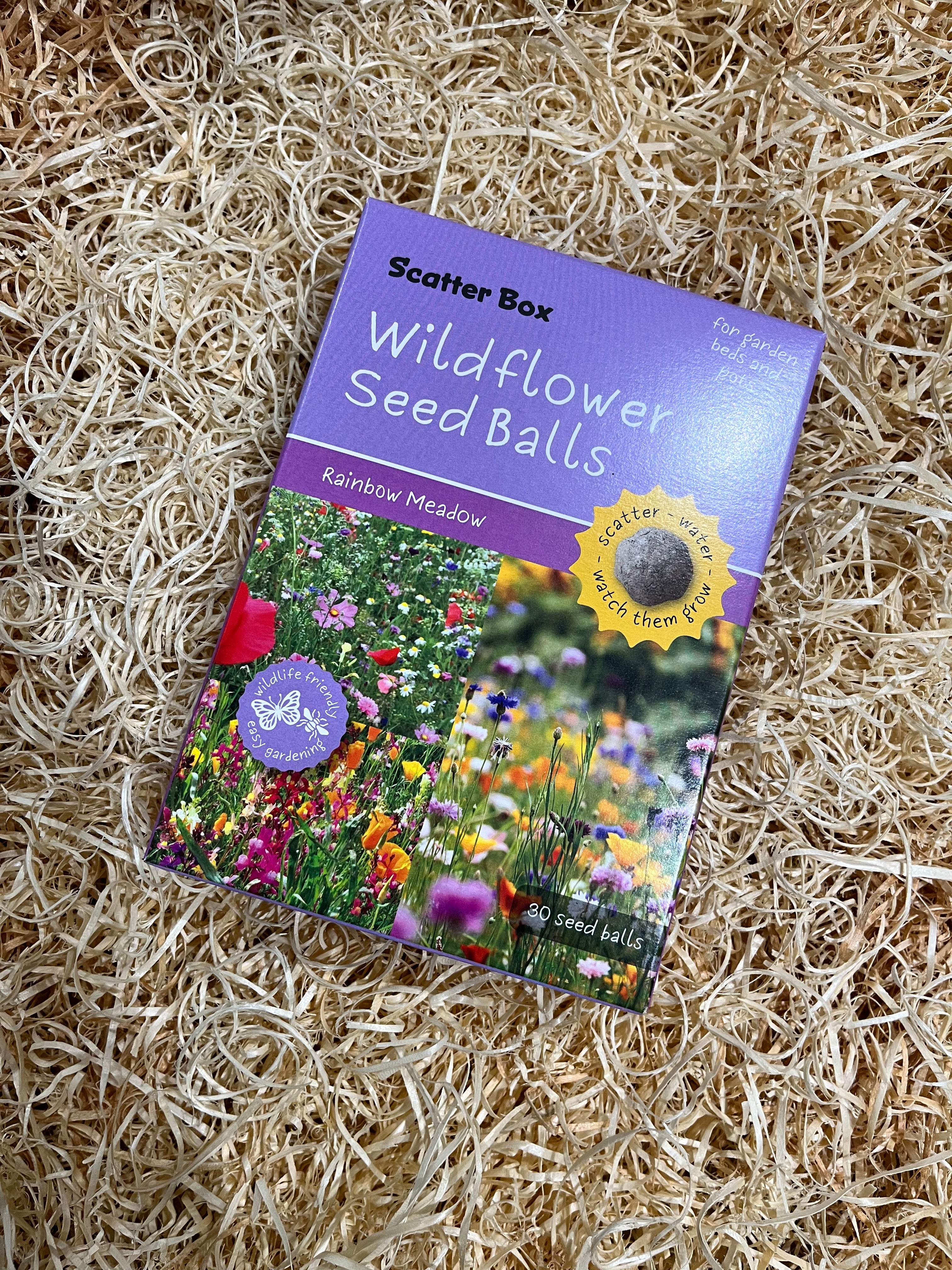 Scatter Box Wildflower Seed Balls