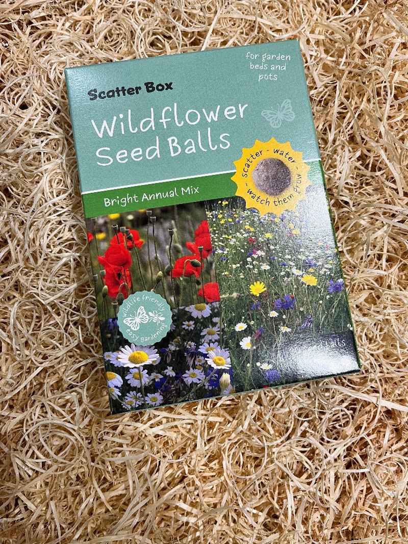 Create a Colorful Garden Oasis with Wildflower Seed Balls - The Courtyard Marketplace