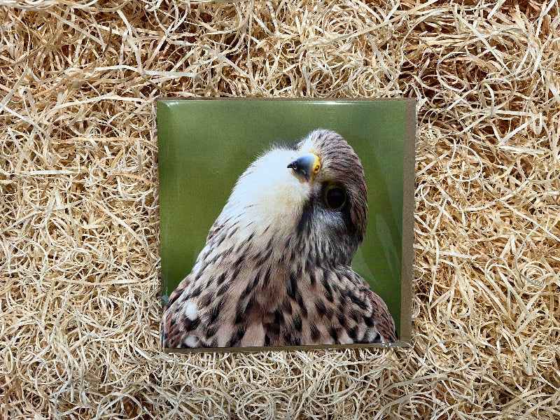 Did you say something !!! - The Courtyard Marketplace