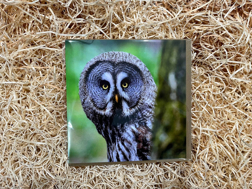 Im Watching You !! - The Courtyard Marketplace