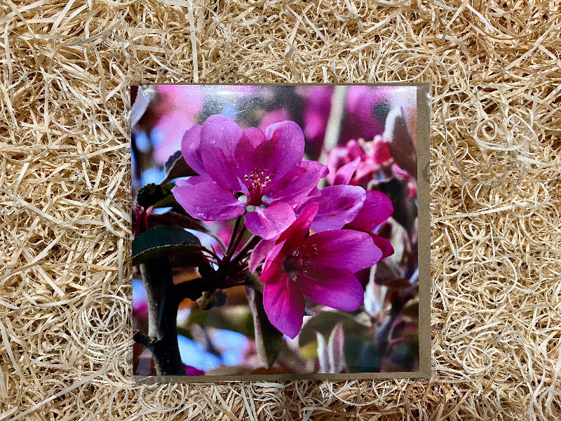 Card with purple flowers on a textured beige background