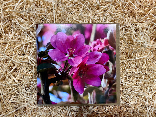 Card with purple flowers on a textured beige background