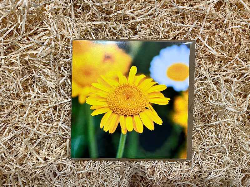 Flower Power Greeting Card. - The Courtyard Marketplace
