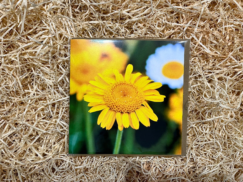 Flower Power Greeting Card