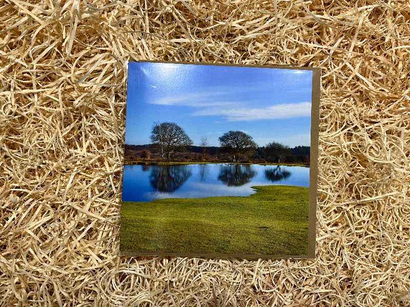 Reflections in the New Forest - The Courtyard Marketplace