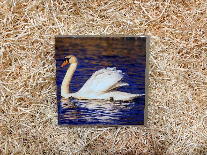 Elegant Swan Greeting Card.