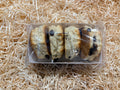 4 Sultana Scones