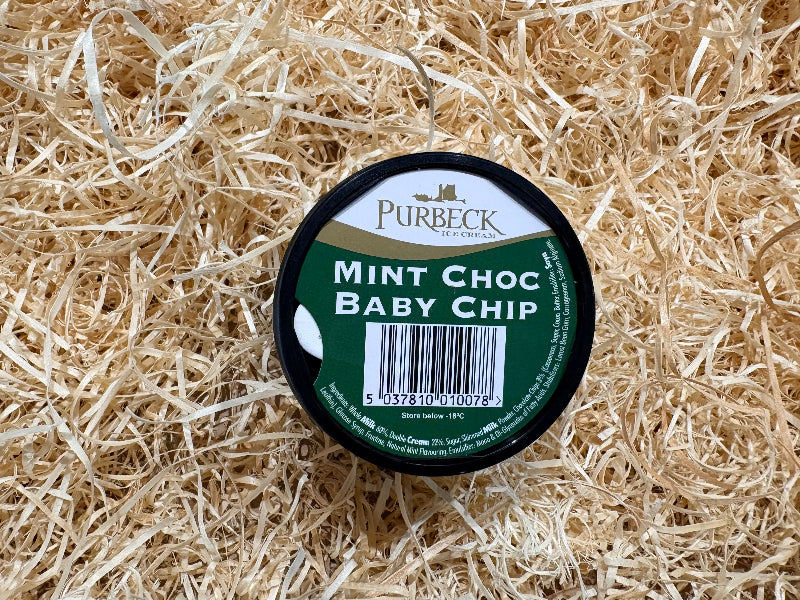 Mint Choc Baby Chip 125ml