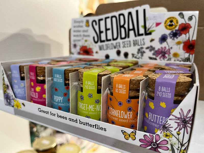 Wildflower Seed Jars - Bring Nature Home Effortlessly - The Courtyard Marketplace